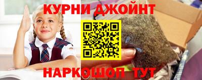 СК Шебекино