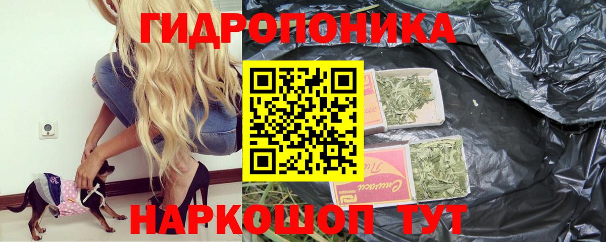 МАРИХУАНА OG Kush  Вход с VPN  Канабис THC 21%  Химки 
